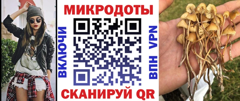 Псилоцибиновые грибы GOLDEN TEACHER  mega рабочий сайт  Находка  купить  